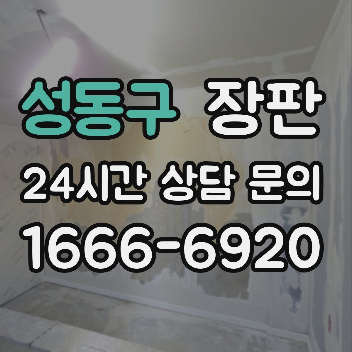성동구 장판