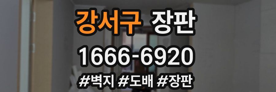 강서구 장판