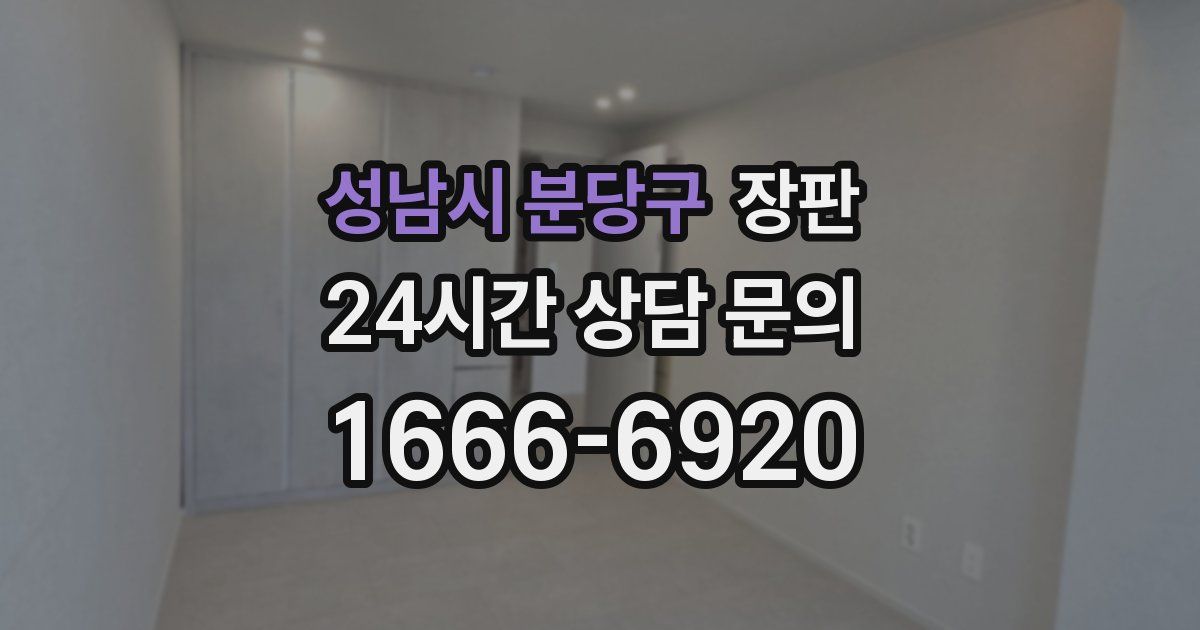 성남시 분당구 장판