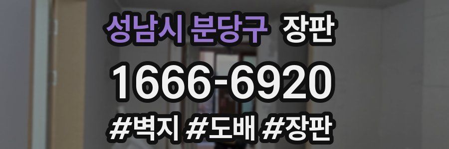 성남시 분당구 장판