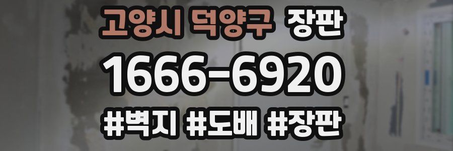 고양시 덕양구 장판