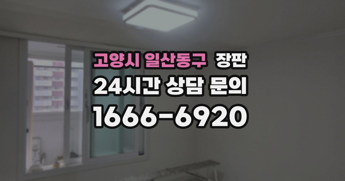 고양시 일산동구 장판