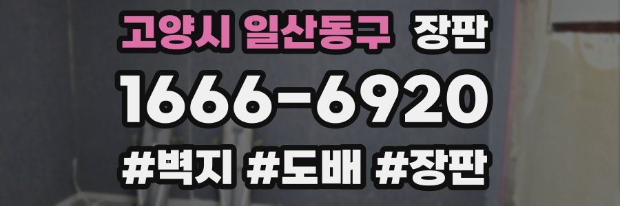 고양시 일산동구 장판