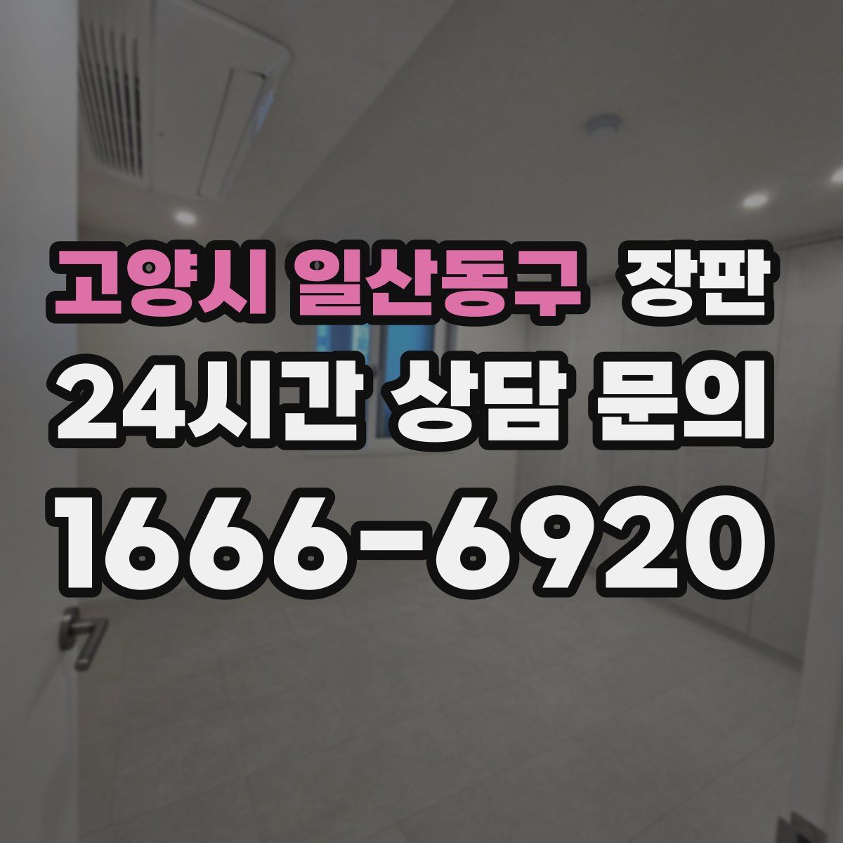 고양시 일산동구 장판