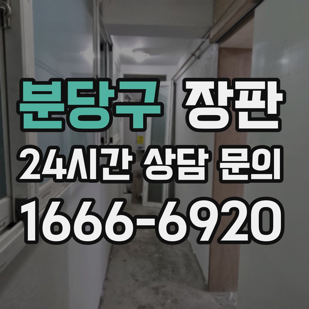 분당구 장판