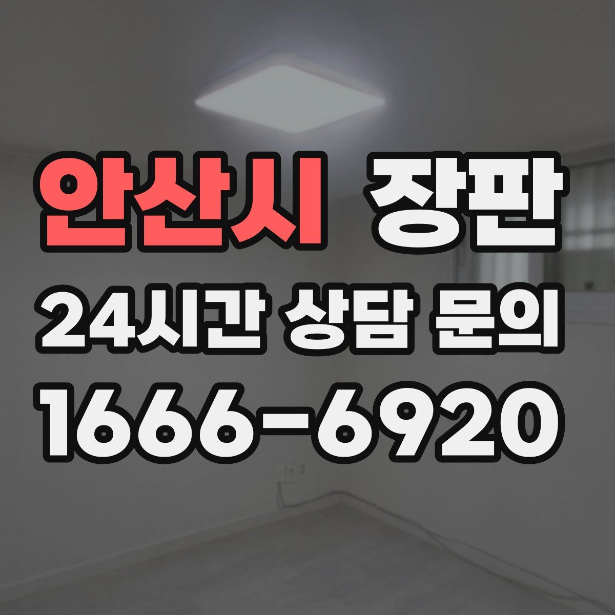 안산시 장판