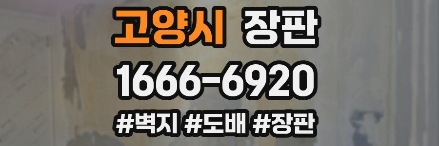 고양시 장판
