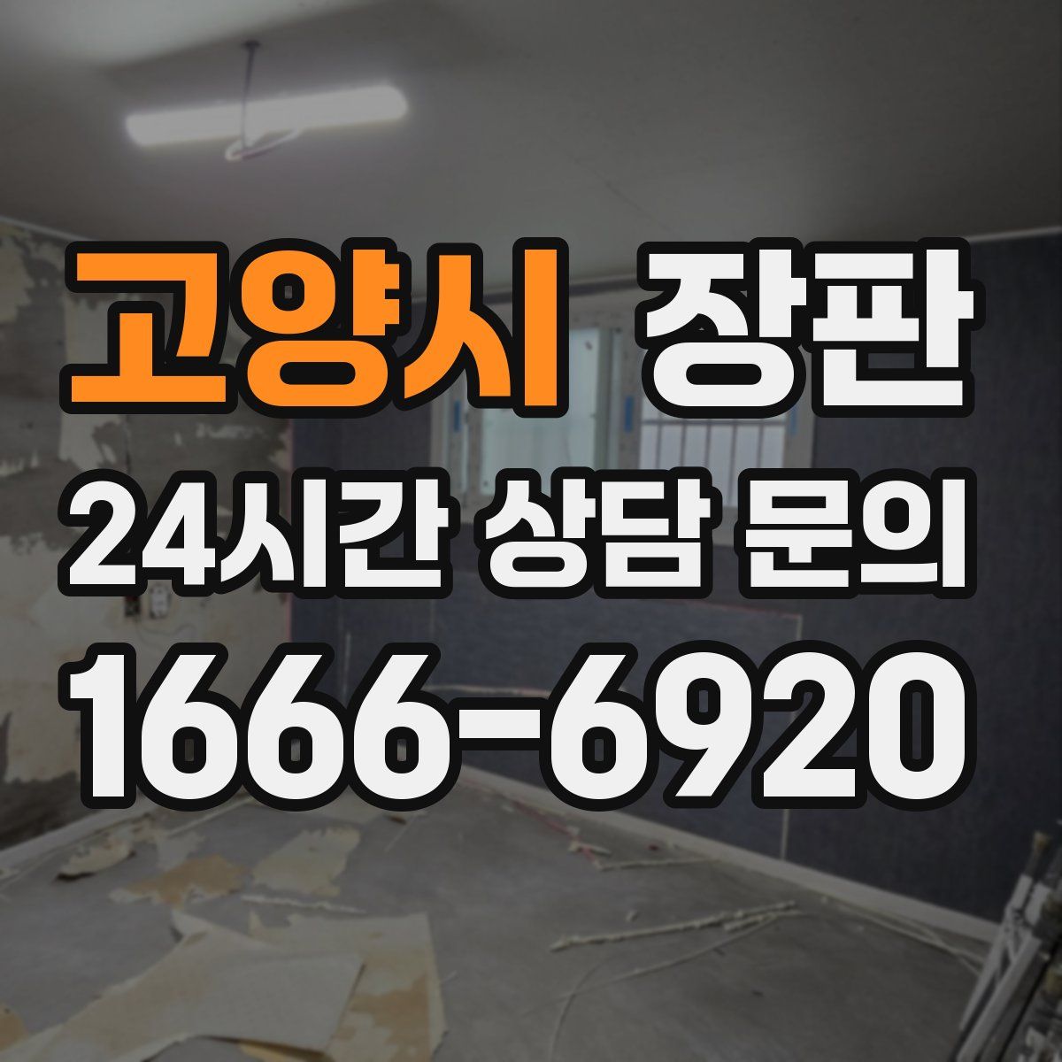 고양시 장판