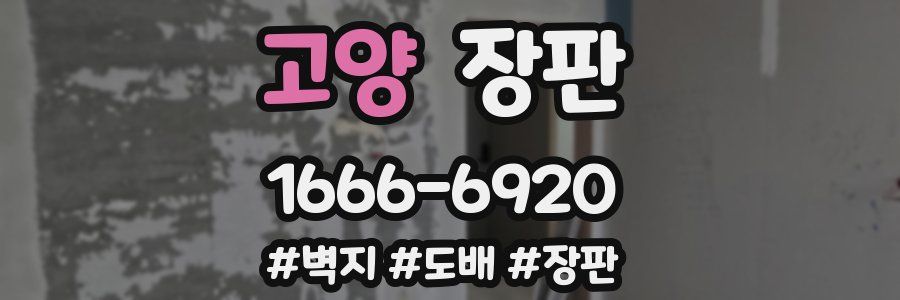 고양 장판