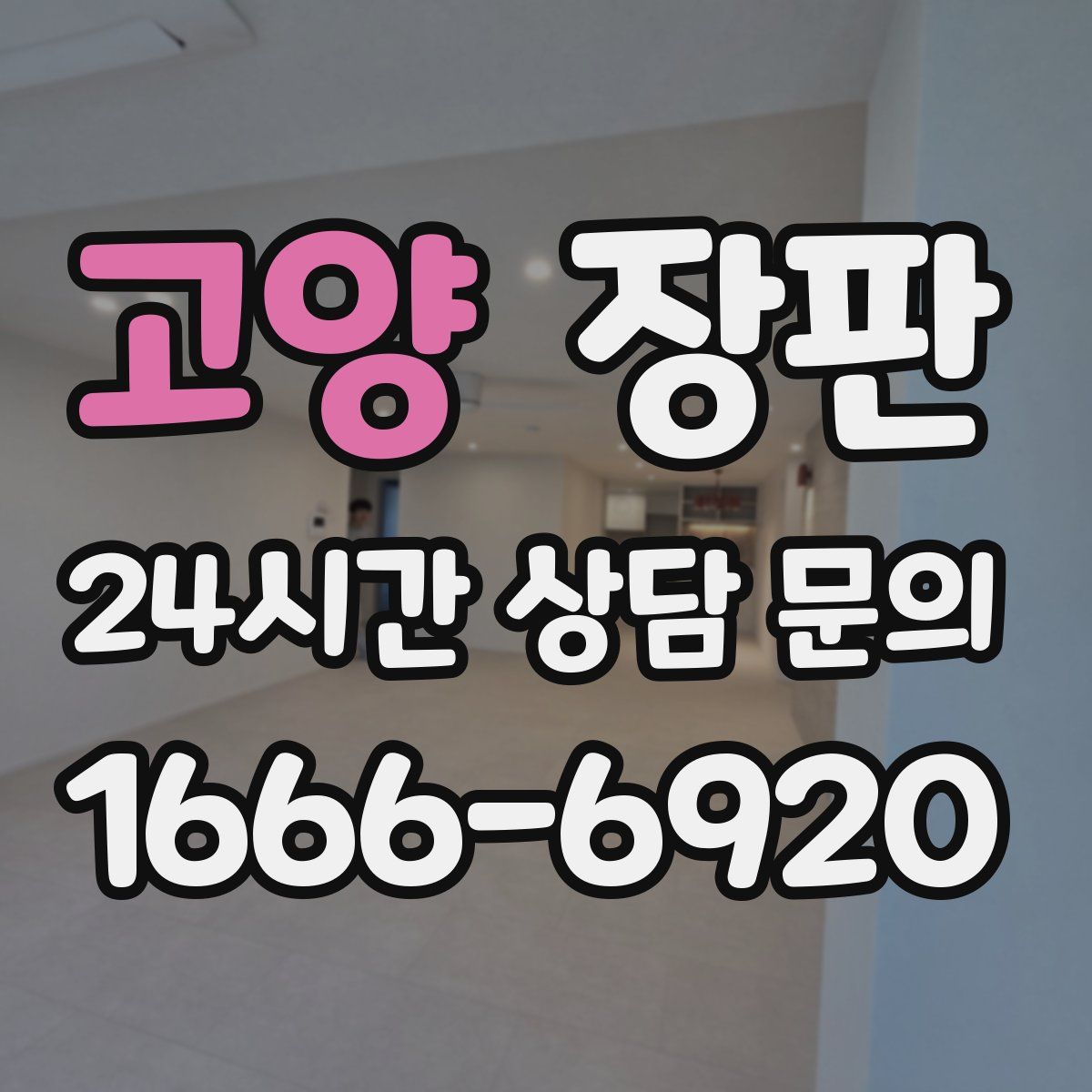 고양 장판