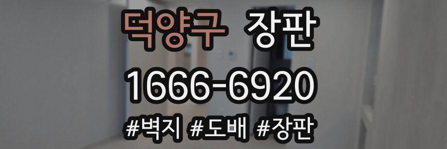 덕양구 장판