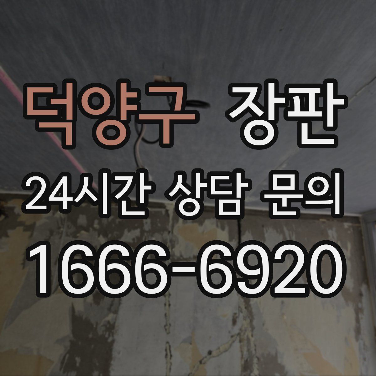 덕양구 장판