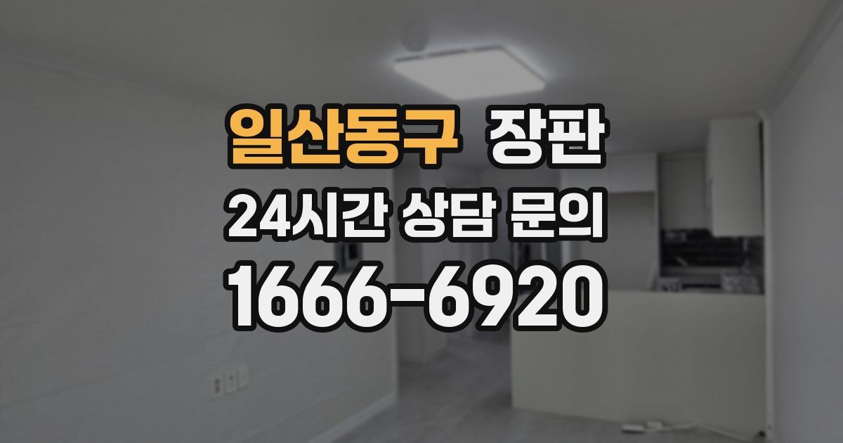 일산동구 장판