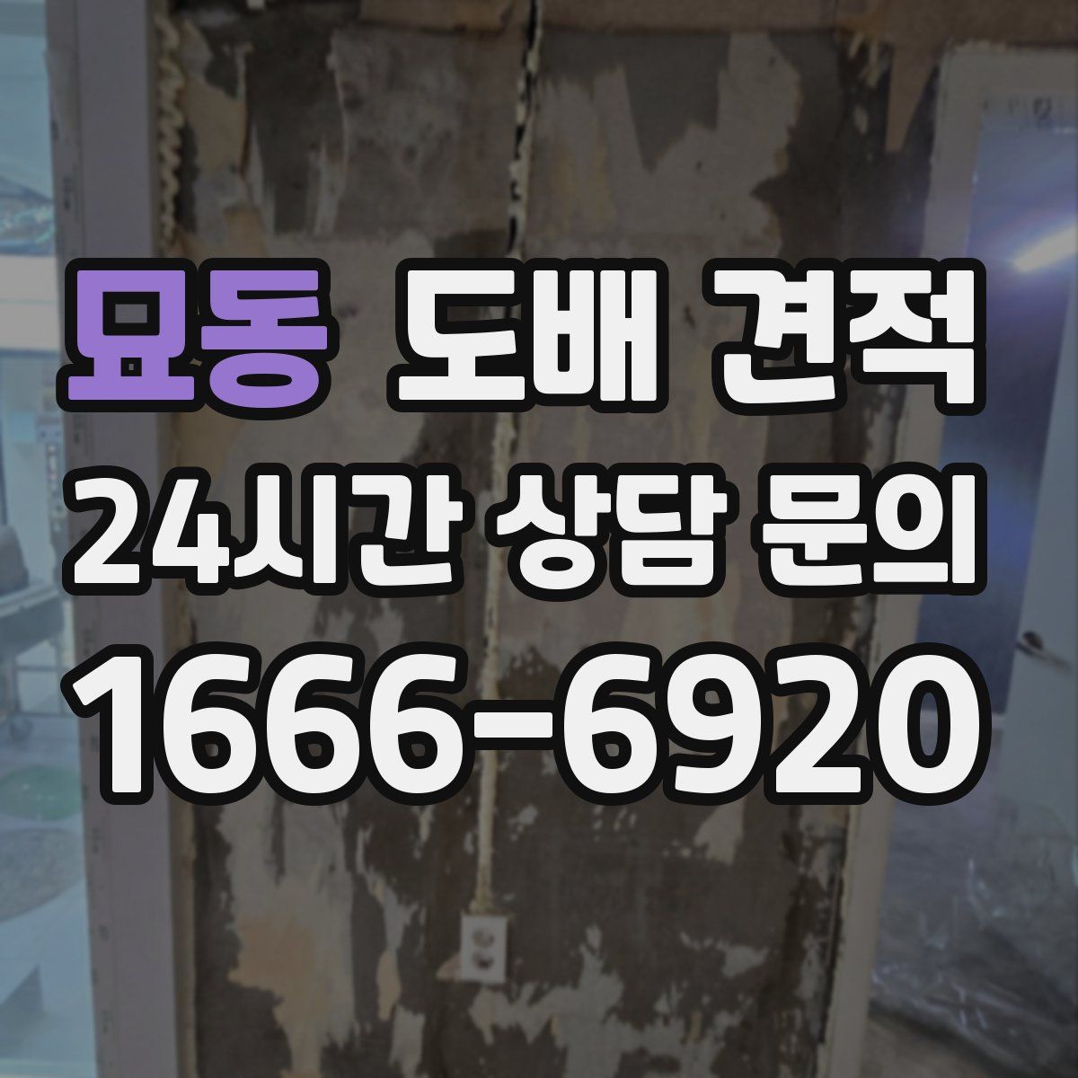 묘동 도배 견적