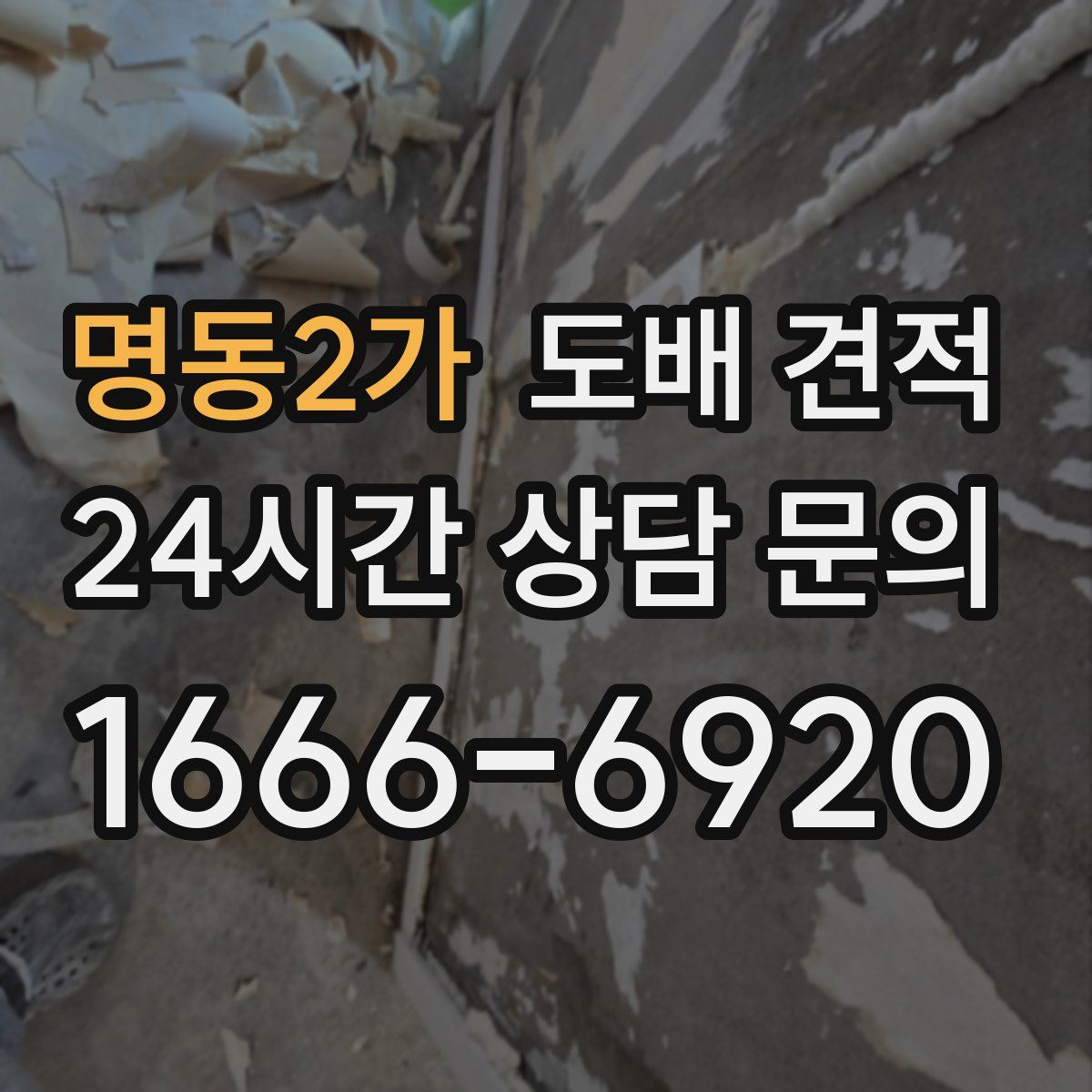 명동2가 도배 견적