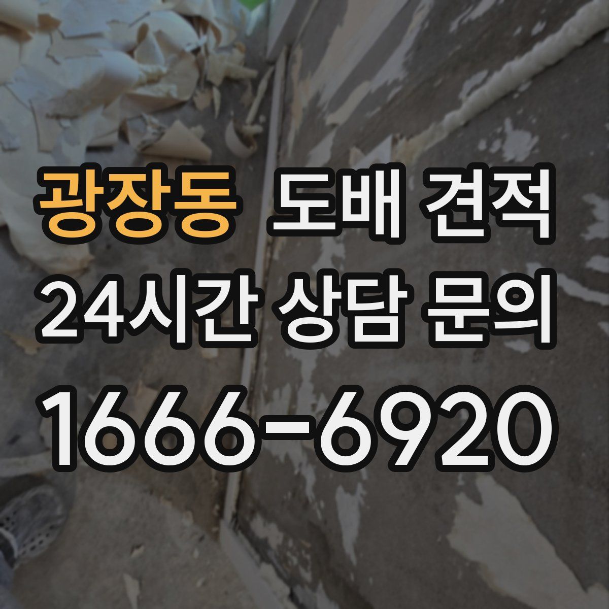 광장동 도배 견적