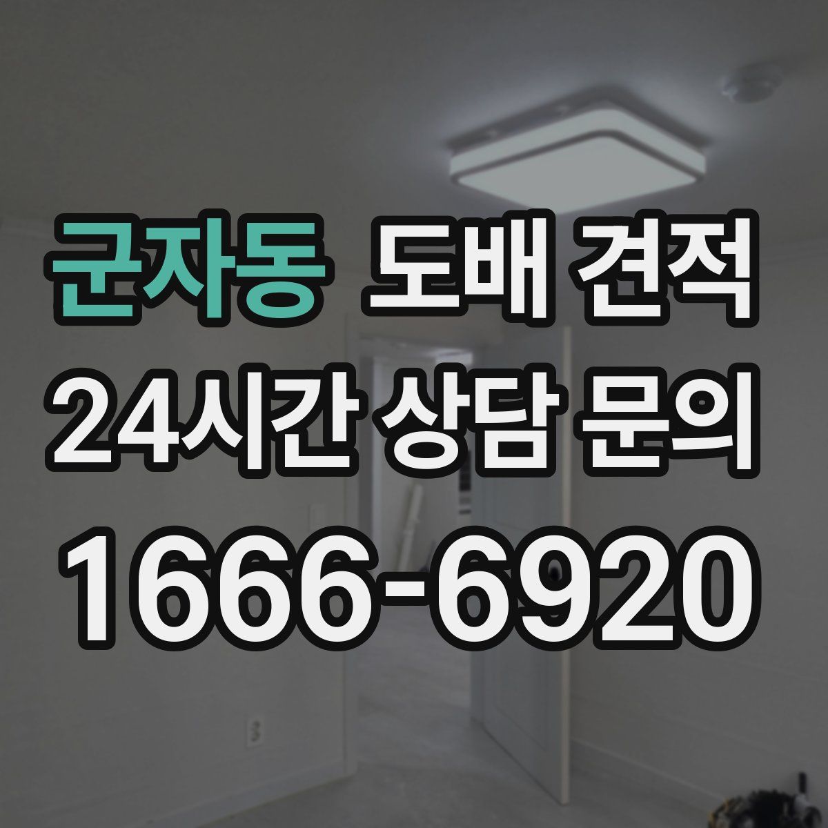 군자동 도배 견적