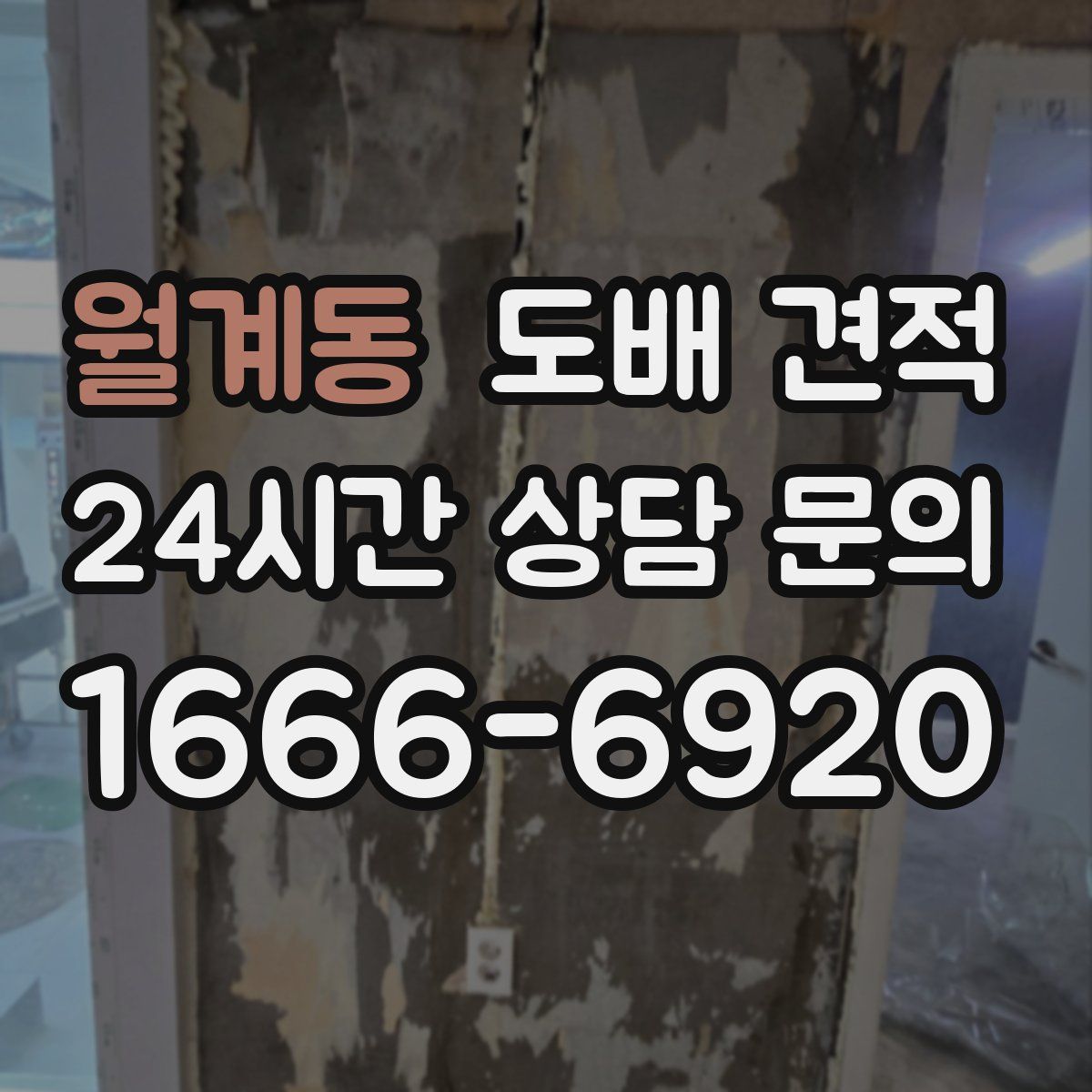 월계동 도배 견적