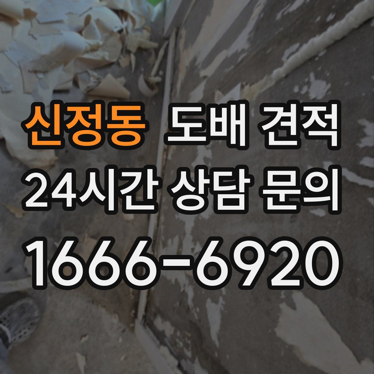 신정동 도배 견적