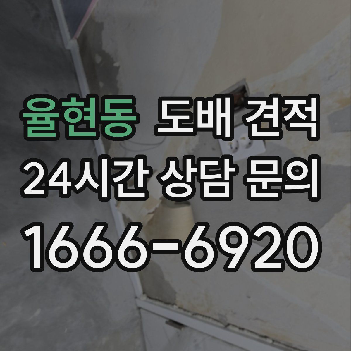 율현동 도배 견적