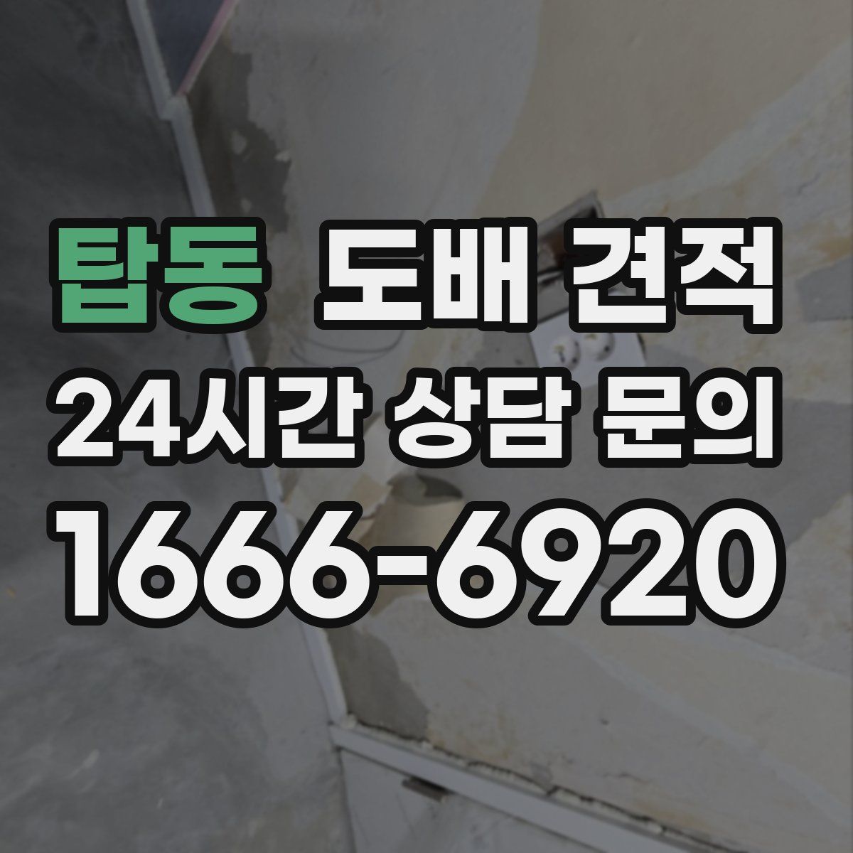 탑동 도배 견적