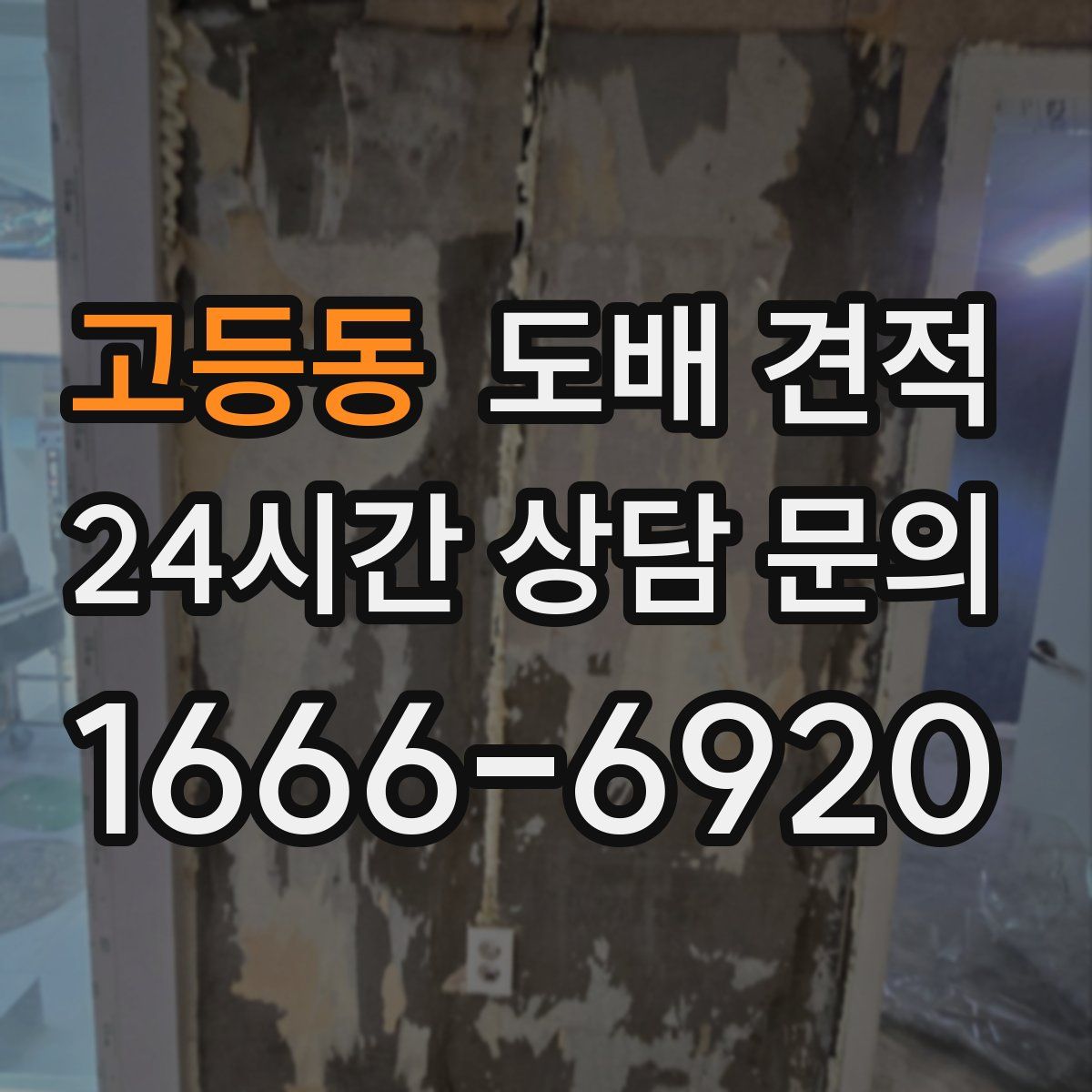 고등동 도배 견적