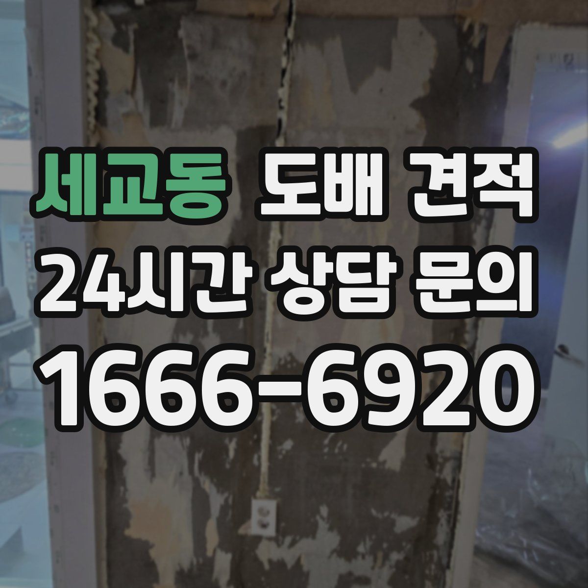 세교동 도배 견적