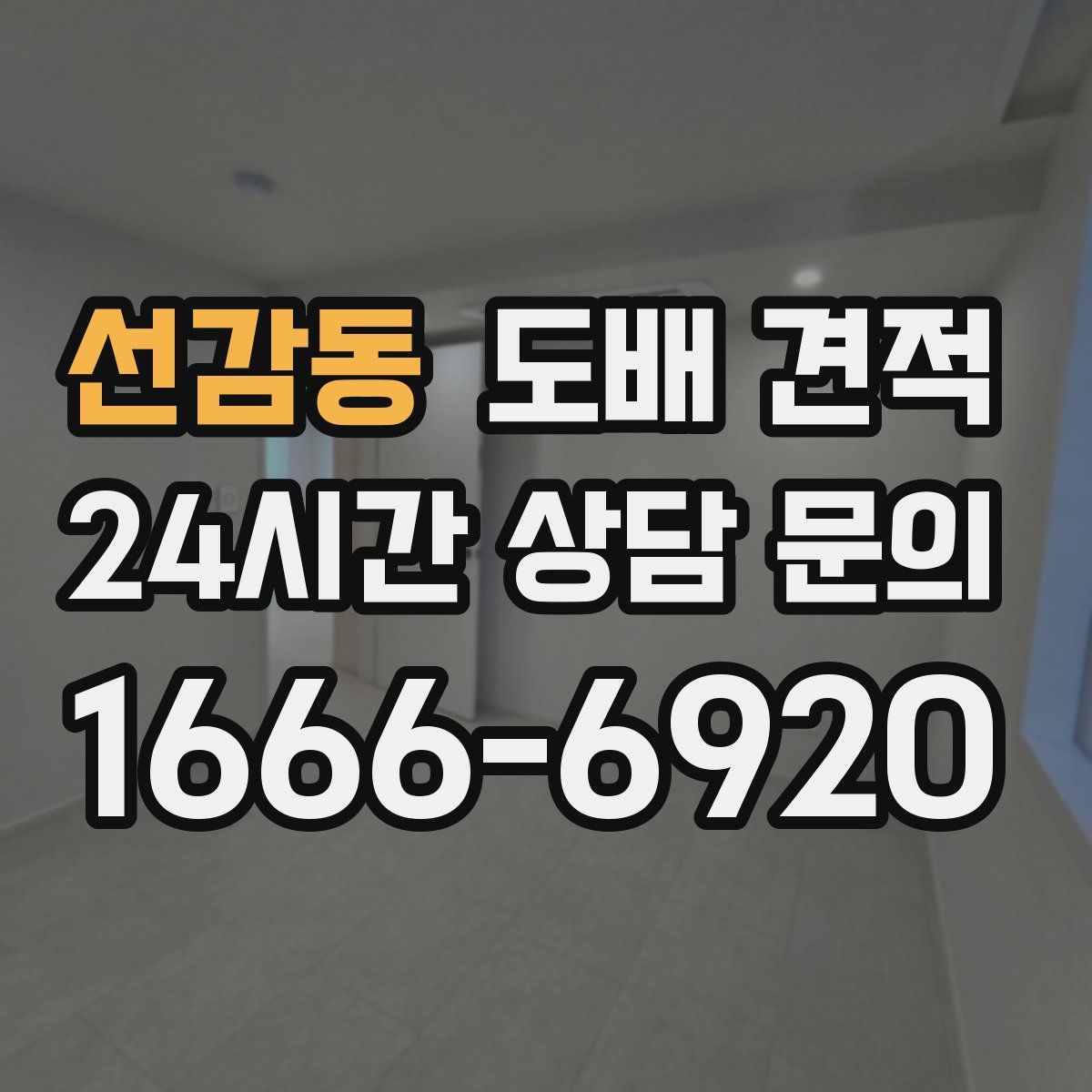 선감동 도배 견적