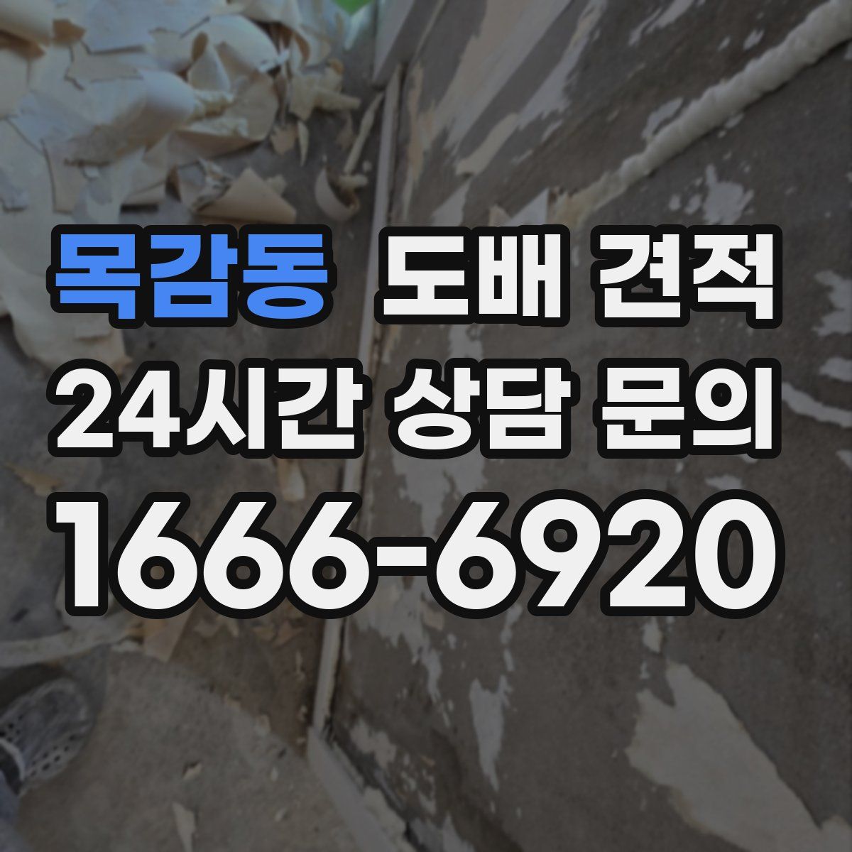 목감동 도배 견적