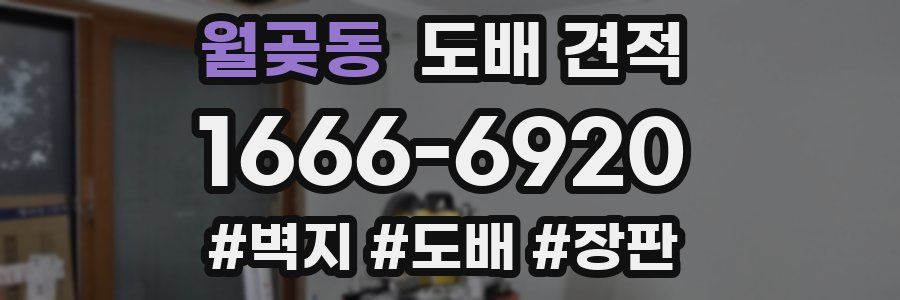 월곶동 도배 견적