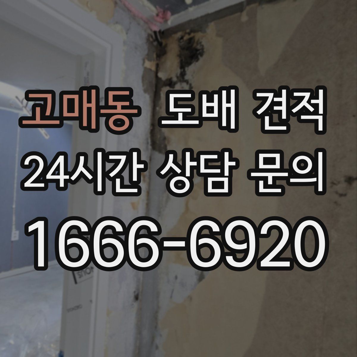 고매동 도배 견적