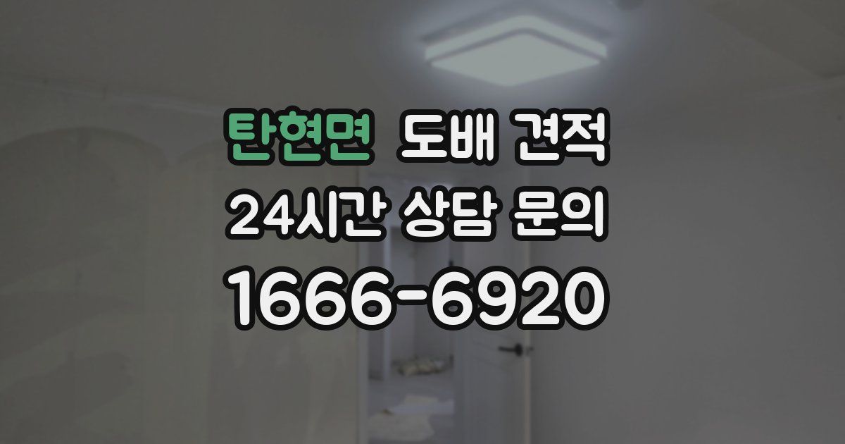 탄현면 도배 견적