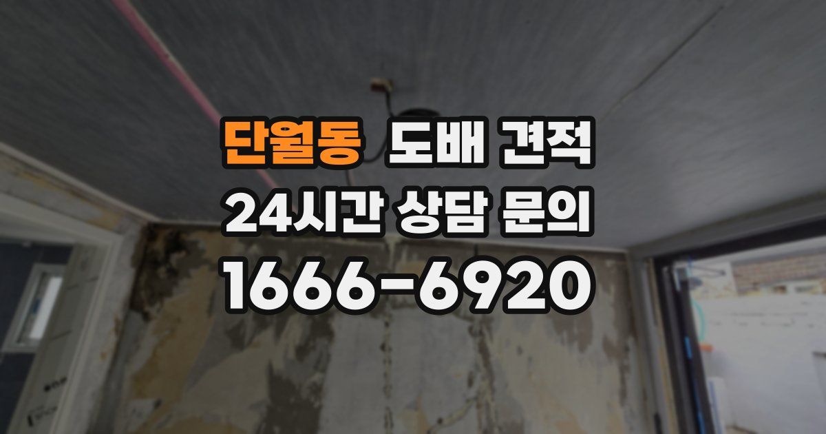 단월동 도배 견적