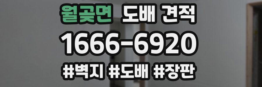 월곶면 도배 견적