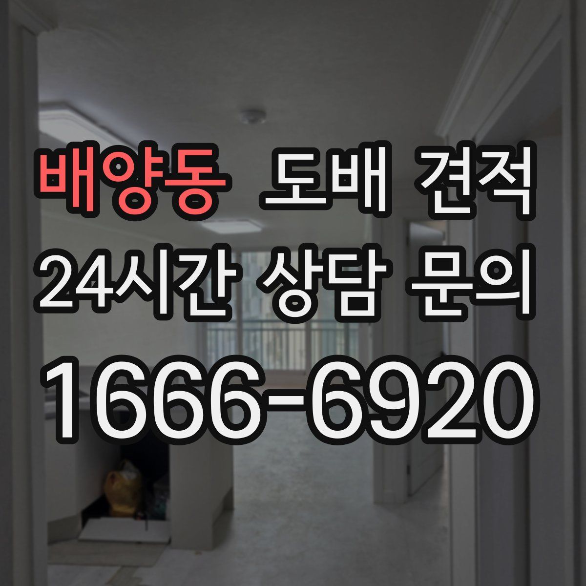 배양동 도배 견적