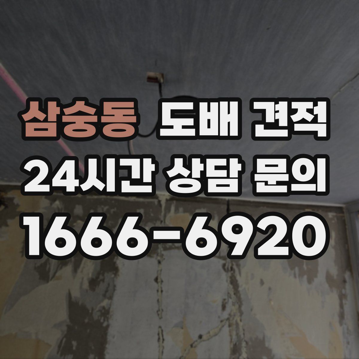 삼숭동 도배 견적