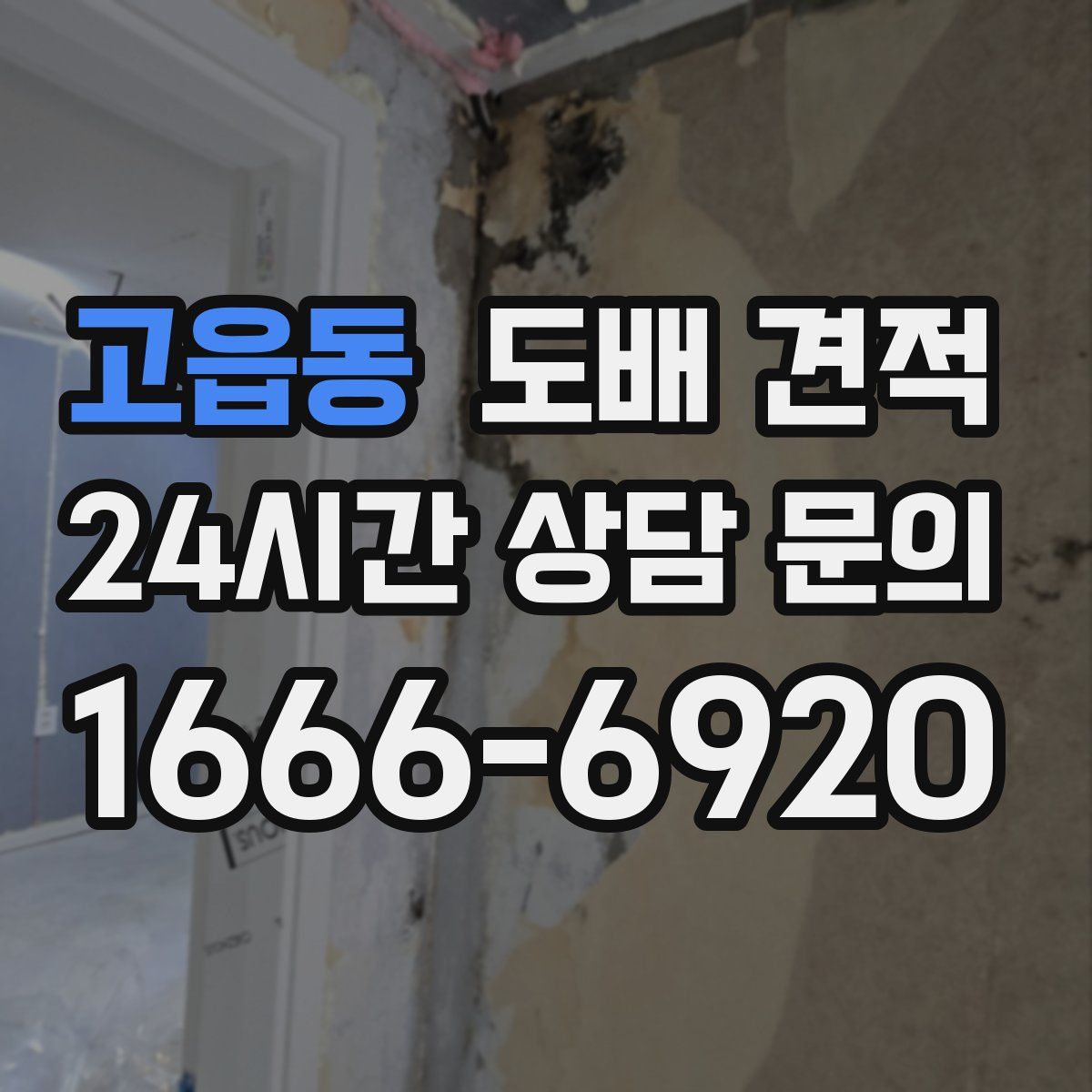 고읍동 도배 견적