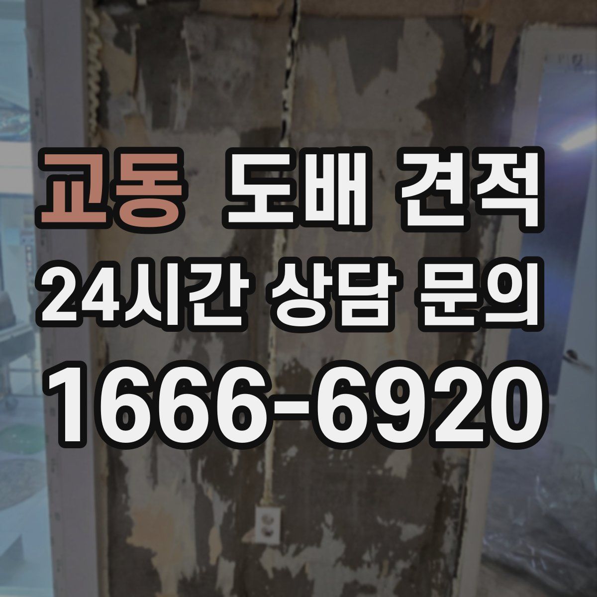교동 도배 견적