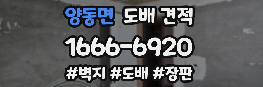 양동면 도배 견적