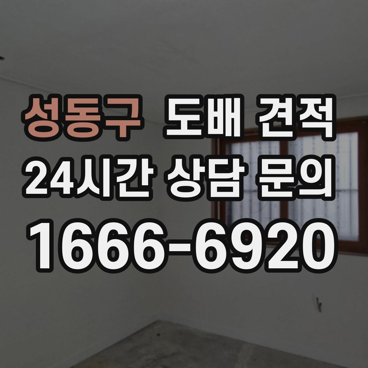 성동구 도배 견적