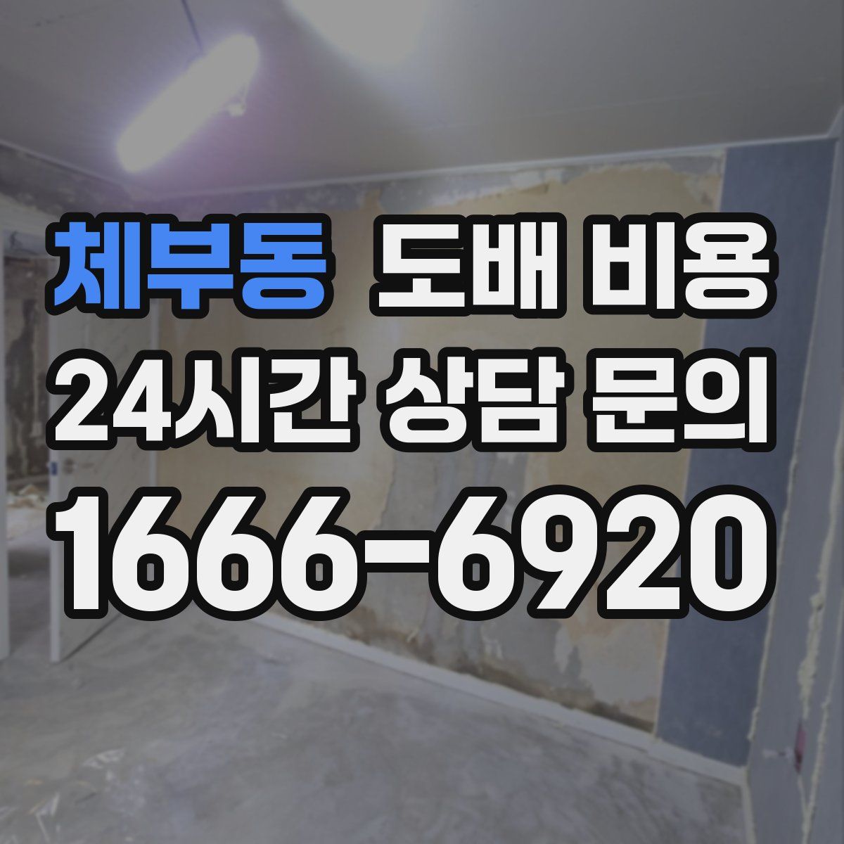 체부동 도배 비용