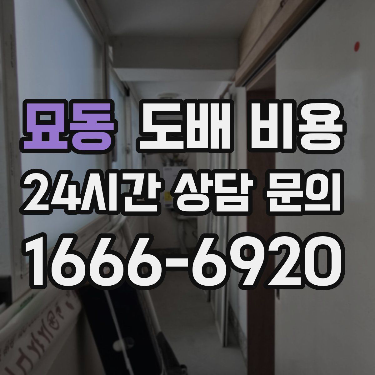 묘동 도배 비용