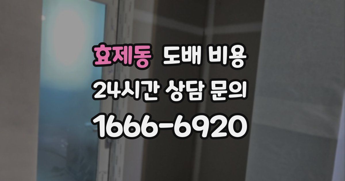 효제동 도배 비용