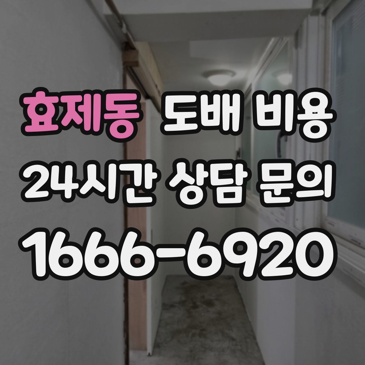 효제동 도배 비용