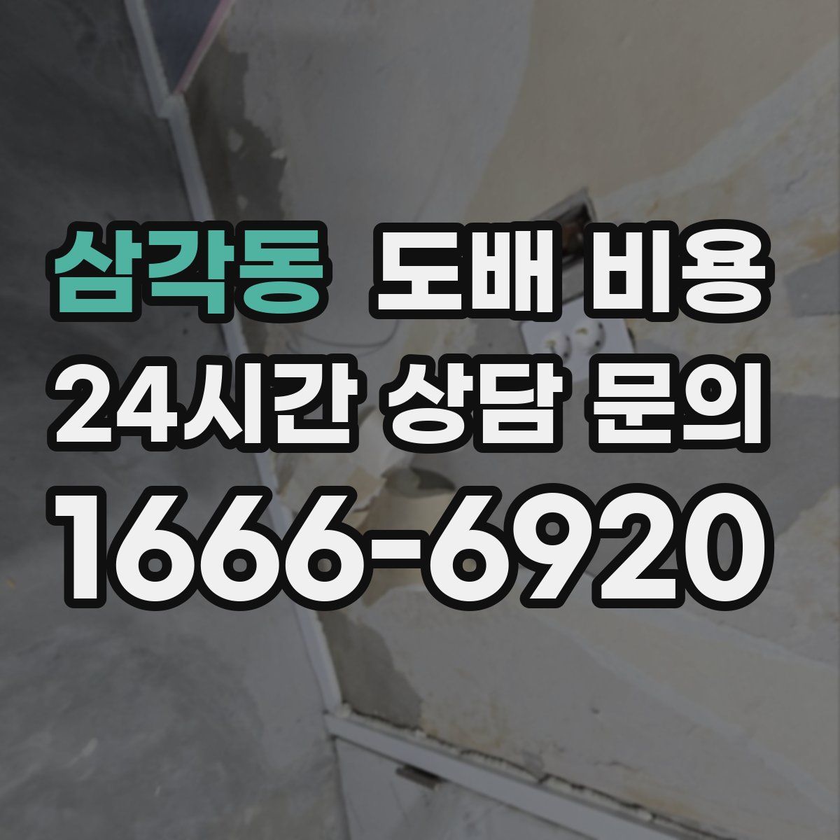 삼각동 도배 비용
