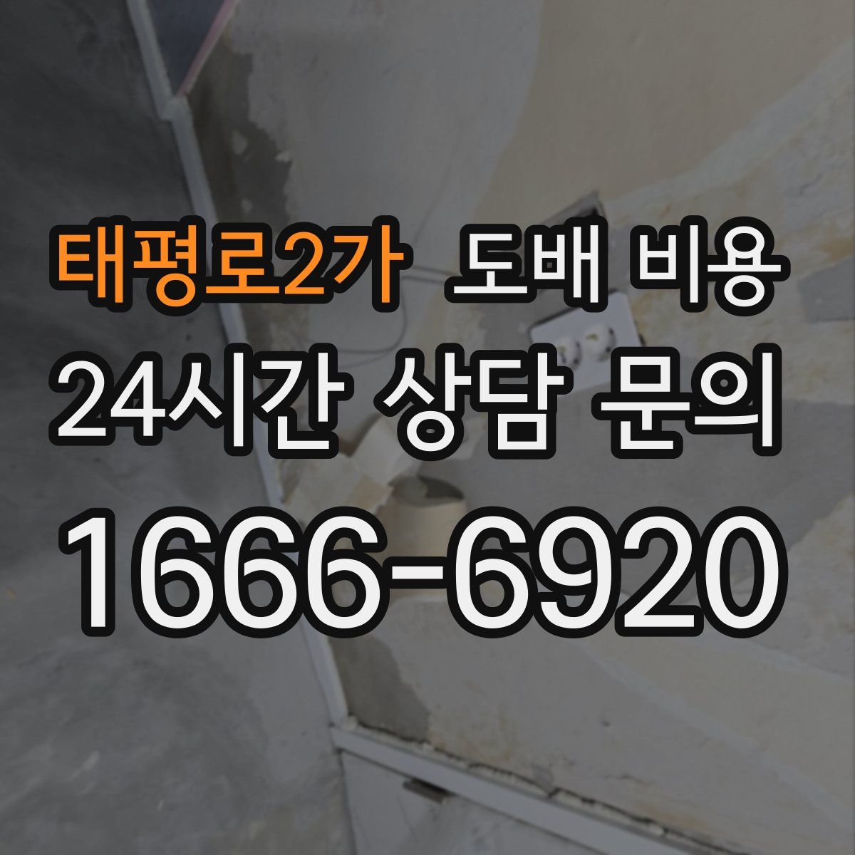 태평로2가 도배 비용