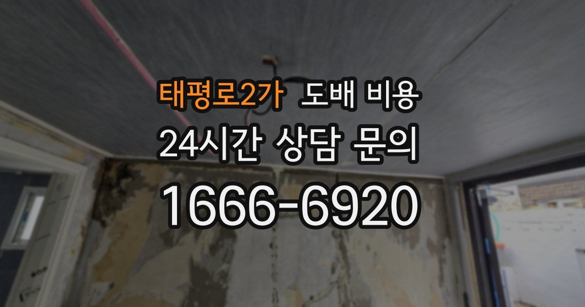 태평로2가 도배 비용