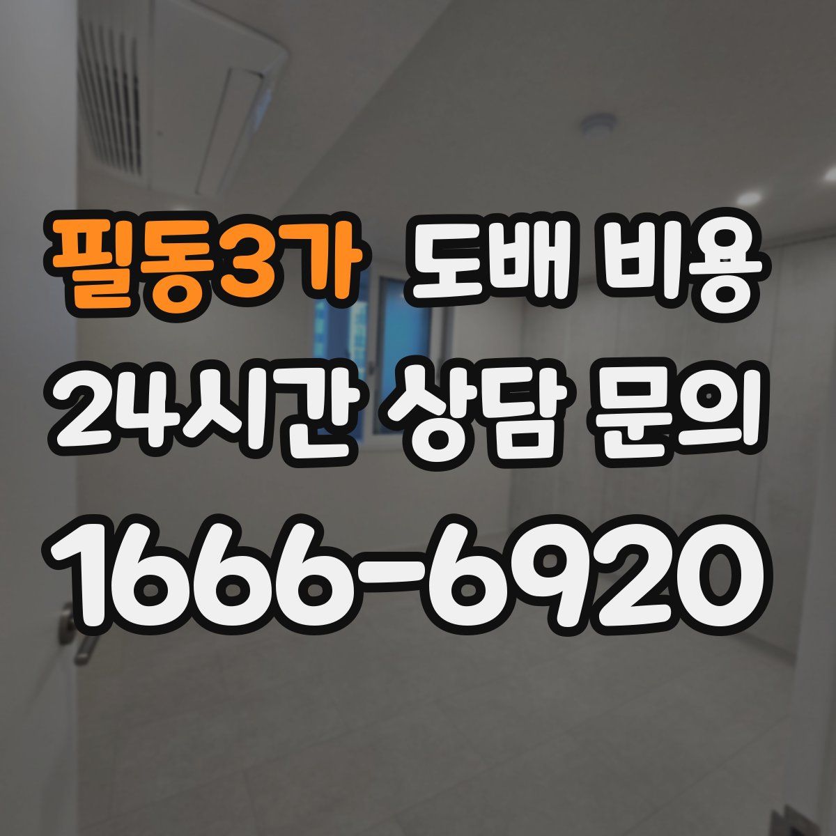 필동3가 도배 비용