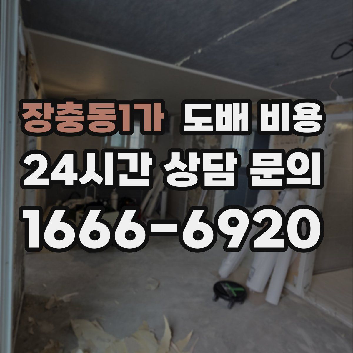장충동1가 도배 비용