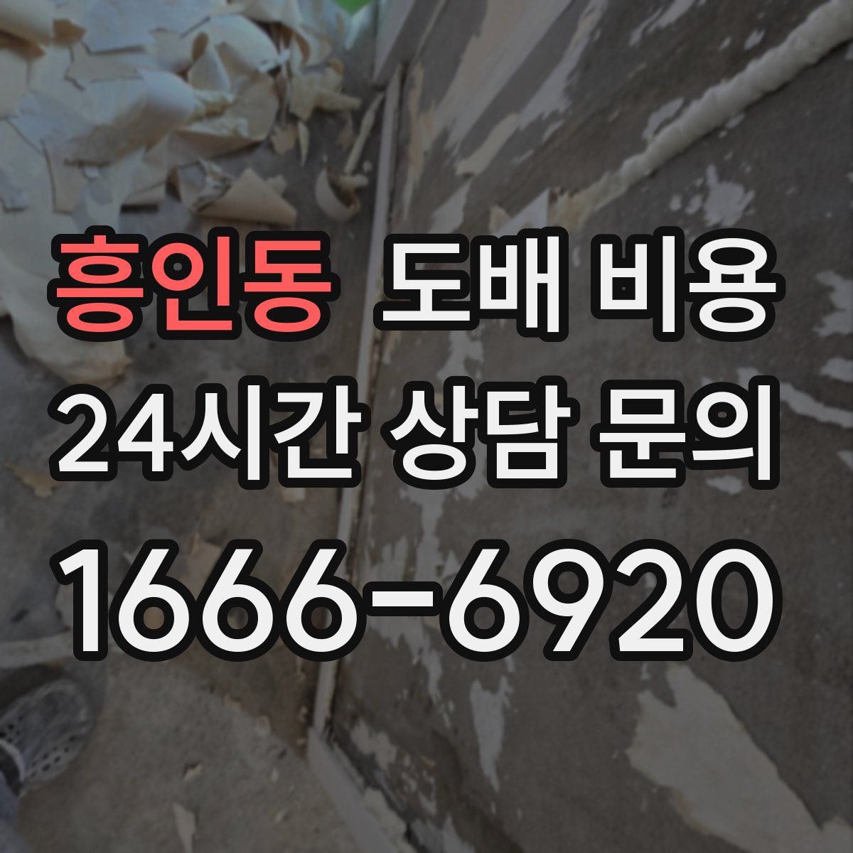 흥인동 도배 비용